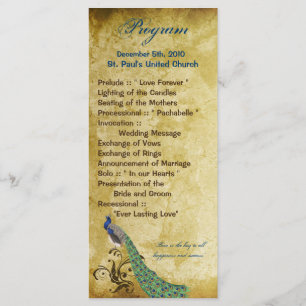 25 4x9 Wedding Program Peacock Vintage Feathers Programme