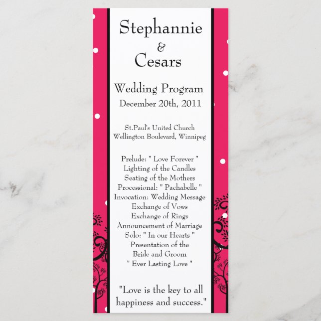 25 4x9 Wedding Program Pink/Black Giraffe Programme (Front)