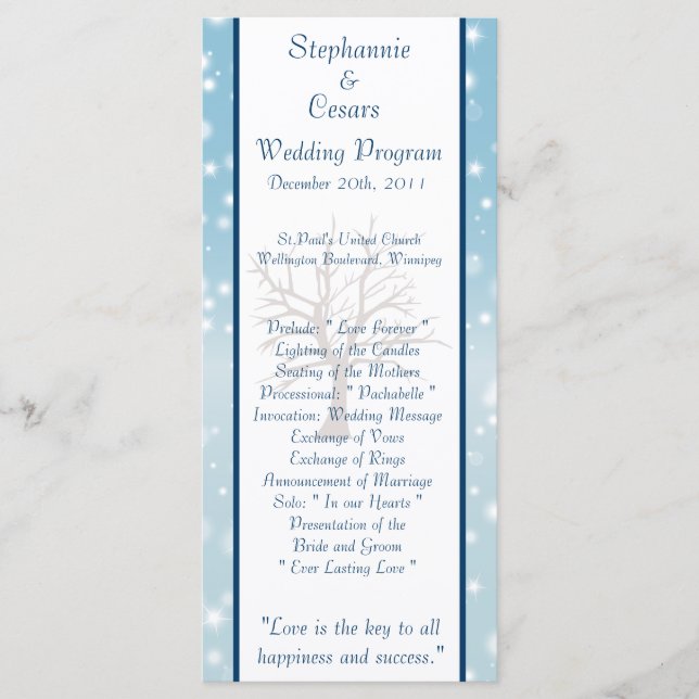 25 4x9 Wedding Program Twinkling Snow / Bare Tree Programme (Front)