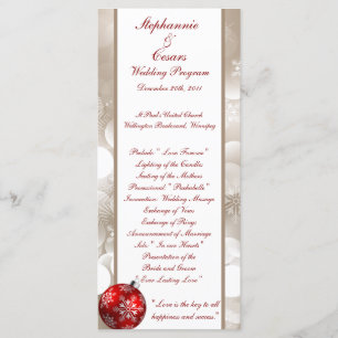 25 4x9 Wedding Program Winter Blur Programme