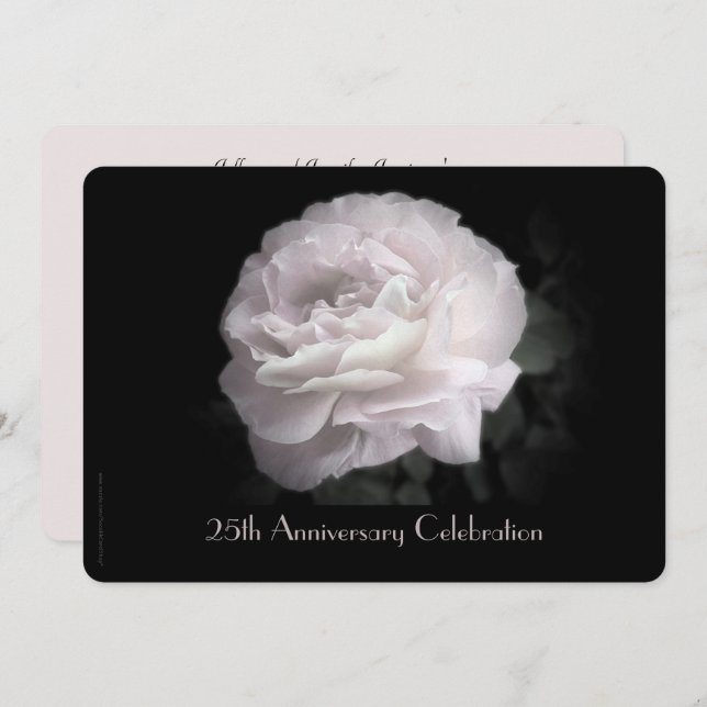 25th Wedding Anniversary Party Pale Pink Rose Invitation (Front/Back)