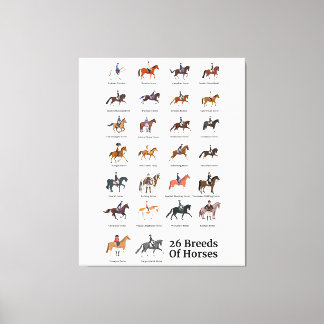 26 Horse Breeds Canvas Print