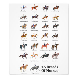 26 Horse Breeds Photo Print