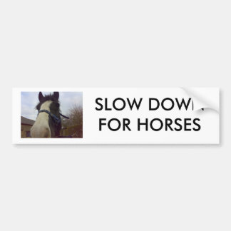 27012007032(1), SLOW DOWN FOR HORSES BUMPER STICKER