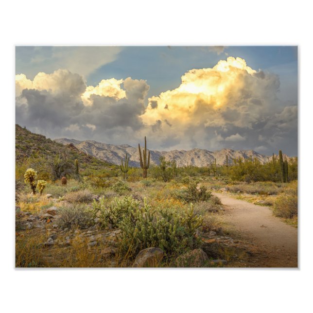 2729-Arizona Desert Landscape at Sunset Photo Print (Front)