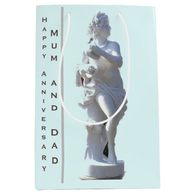 27th Anniversary Sculpture editable  Medium Gift Bag (Front)