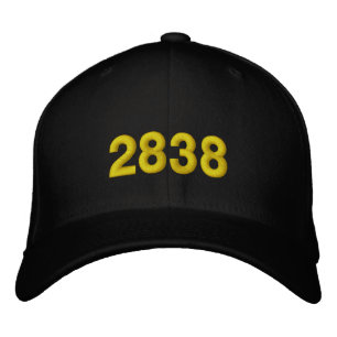 2838 EMBROIDERED HAT