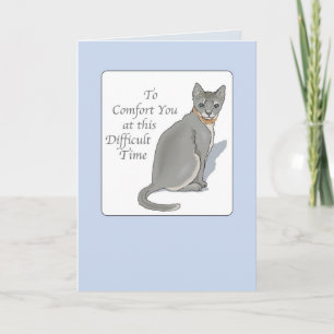 2846 Grey Cat Pet Sympathy Card
