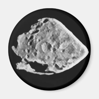 2867 Steins (1969 VC) Magnet