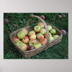 28" x 20", Value Poster Paper (Matte)