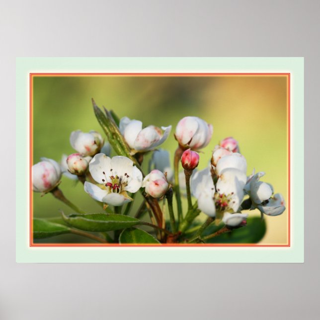 28" x 20", Value Poster Paper (Matte) (Front)