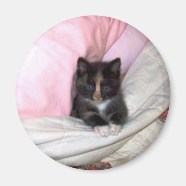 29154_Muffin-the-Cat_620 Magnet (Front)