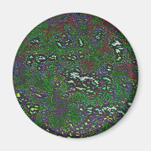 29 MAGNET