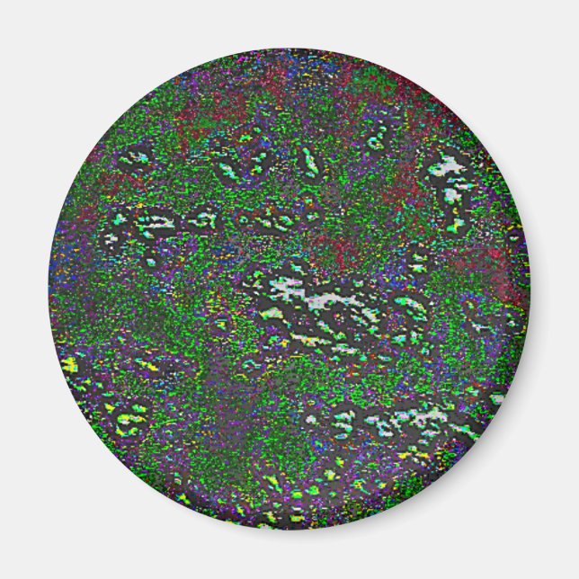 29 MAGNET (Front)