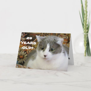 29? You've Cat to Be Kitten Me Card