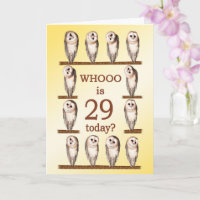 29th Birthday, Curious Owls