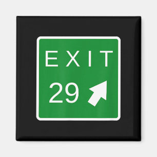29th Birthday Quote Exit 29 29 Sister Lakes Shirt Magnet