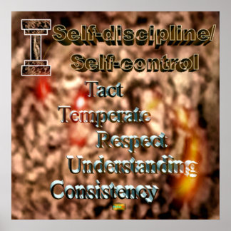 29th Quote; Self-discipline/Self-control Poster