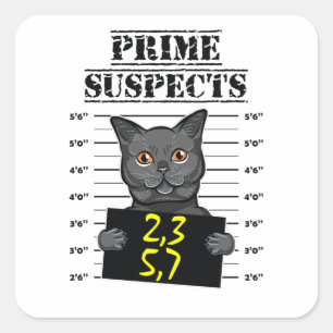 2,3,5,7 - prime suspects square sticker