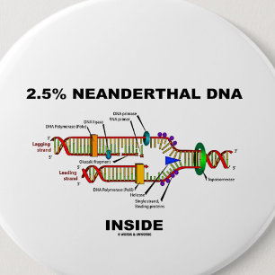 2.5% Neanderthal DNA Inside (DNA Replication) 6 Cm Round Badge