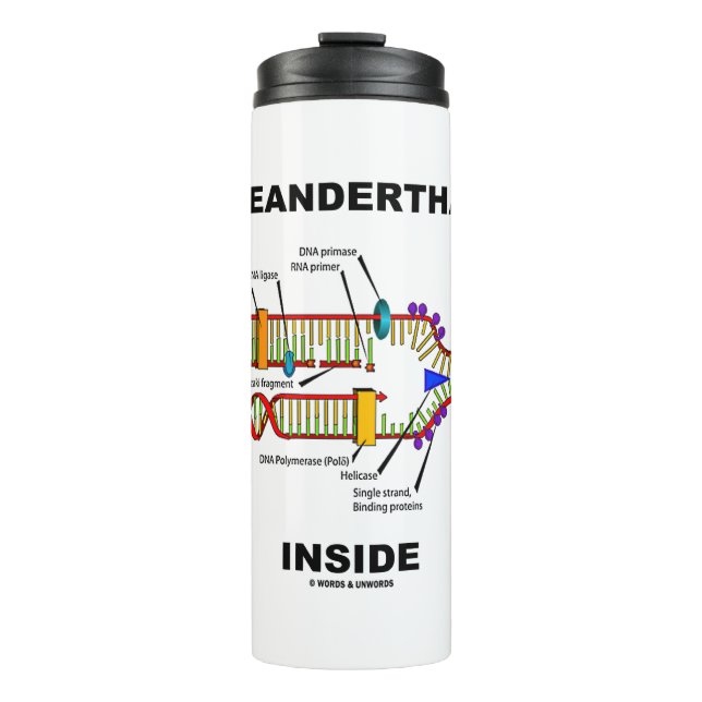 2.5% Neanderthal DNA Inside DNA Replication Thermal Tumbler (Front)