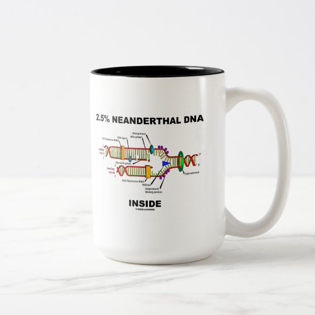 2.5% Neanderthal DNA Inside (DNA Replication) Two-Tone Coffee Mug (Right)