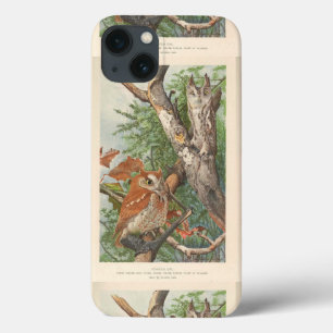 2 angry vintage owls in a tree iPhone 13 case