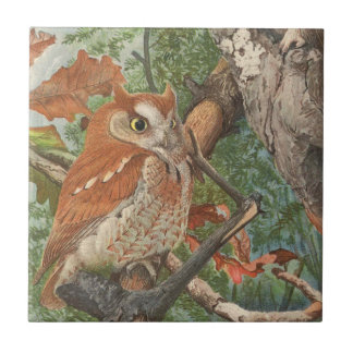 2 angry vintage owls in a tree tile