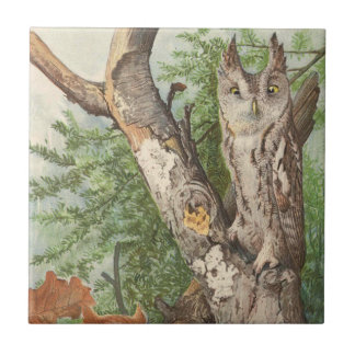 2 angry vintage owls in a tree tile