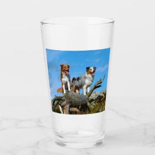 2 australian shepherds glass