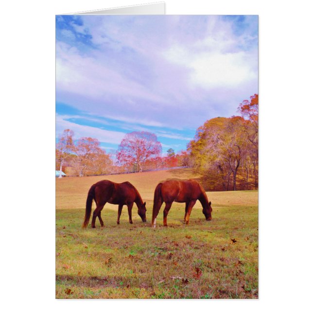 2 Brown horses in a coloured field (Front)