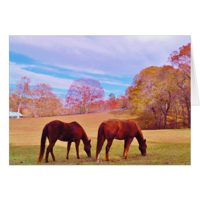 2 Brown horses in a coloured field (Front Horizontal)