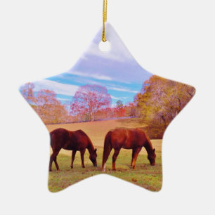 2 Brown horses in a coloured field Ceramic Tree Decoration