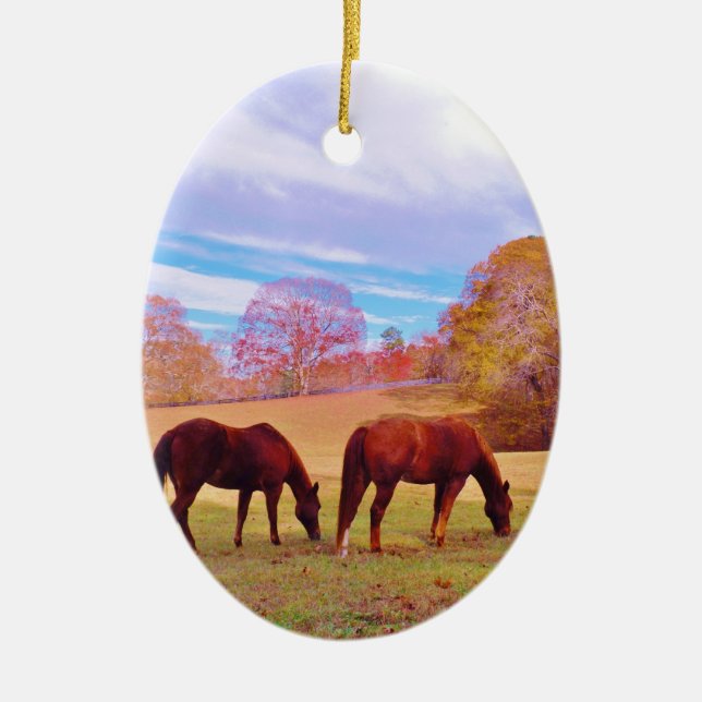 2 Brown horses in a coloured field Ceramic Tree Decoration (Front)
