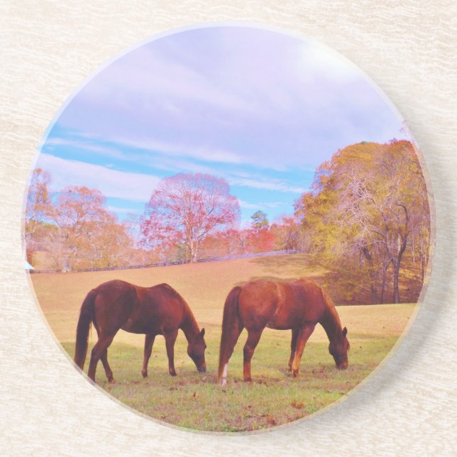 2 Brown horses in a coloured field Coaster (Front)