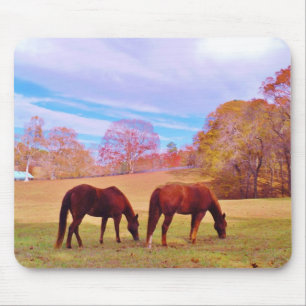 2 Brown horses in a coloured field Mouse Mat