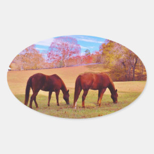 2 Brown horses in a coloured field Oval Sticker