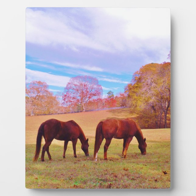 2 Brown horses in a coloured field Plaque (Front)