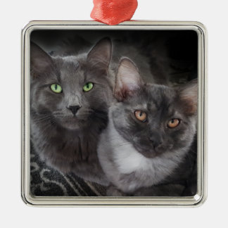 2 cats green eyes orange eyes grey cat black cat metal tree decoration
