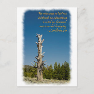 2 Corinthians 4:15 Postcard