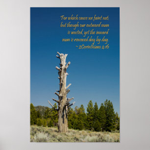 2 Corinthians 4:16 Poster