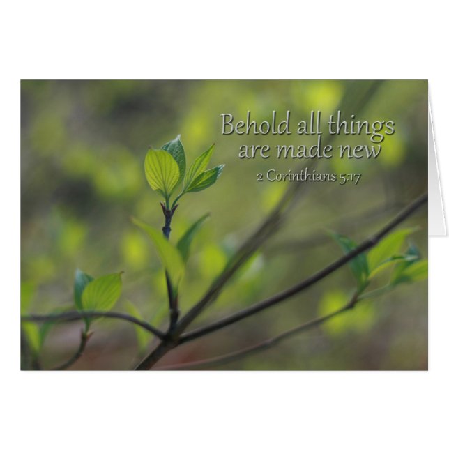 2 Corinthians 5:17 Behold all things new (Front Horizontal)