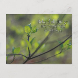2 Corinthians 5:17 Behold all things new Postcard