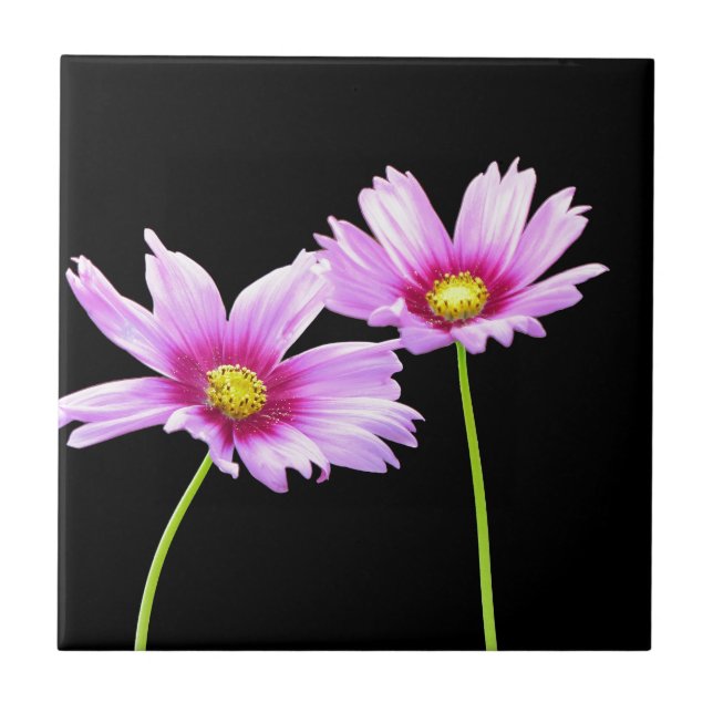 2 Cosmos Tile (Front)