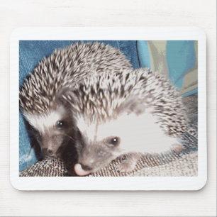 2 cute hedgehogs mouse mat