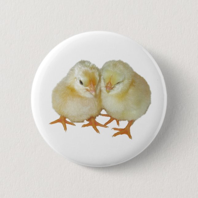 2 Cute Yellow Basque Chicks 6 Cm Round Badge (Front)