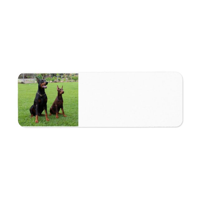 2 dobies.png (Front)