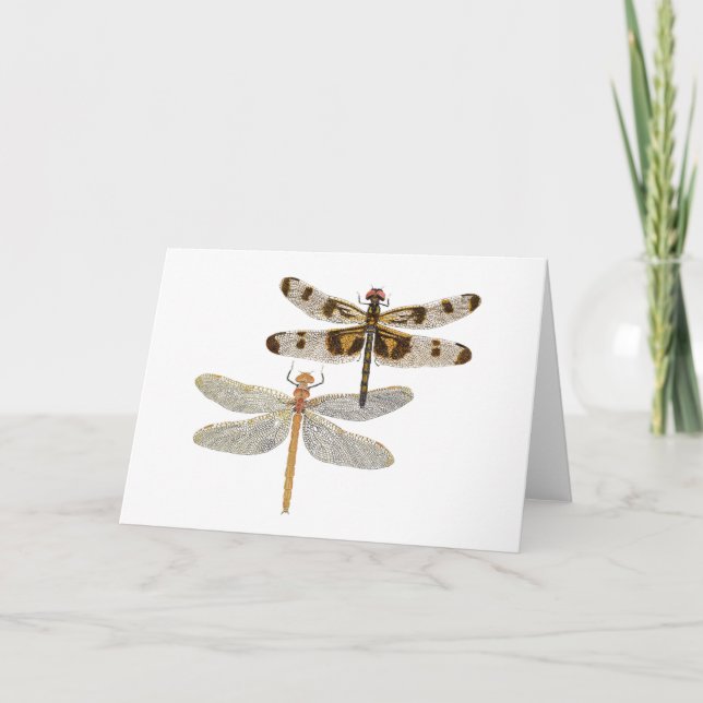 2 Dragonflies Card (Front)