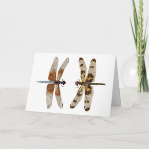 2 Dragonflies Card