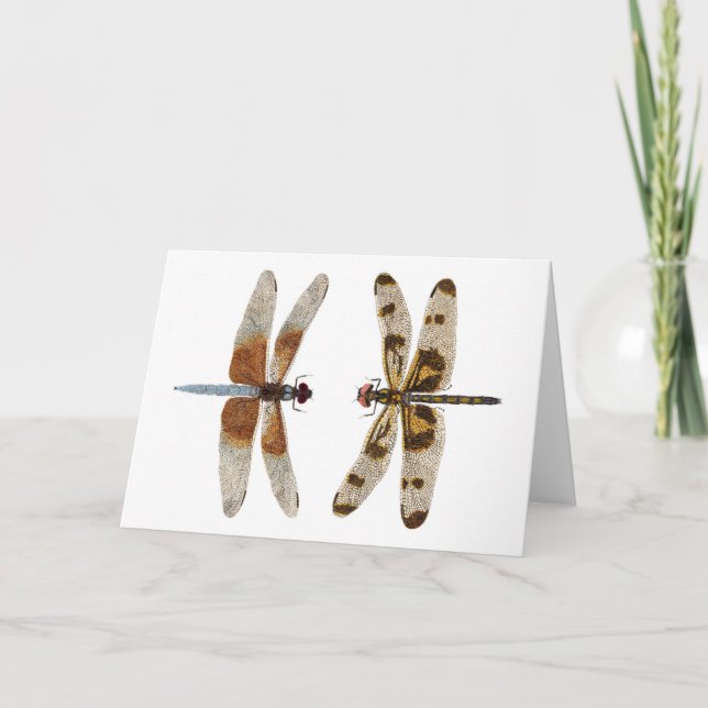 2 Dragonflies Card (Front)